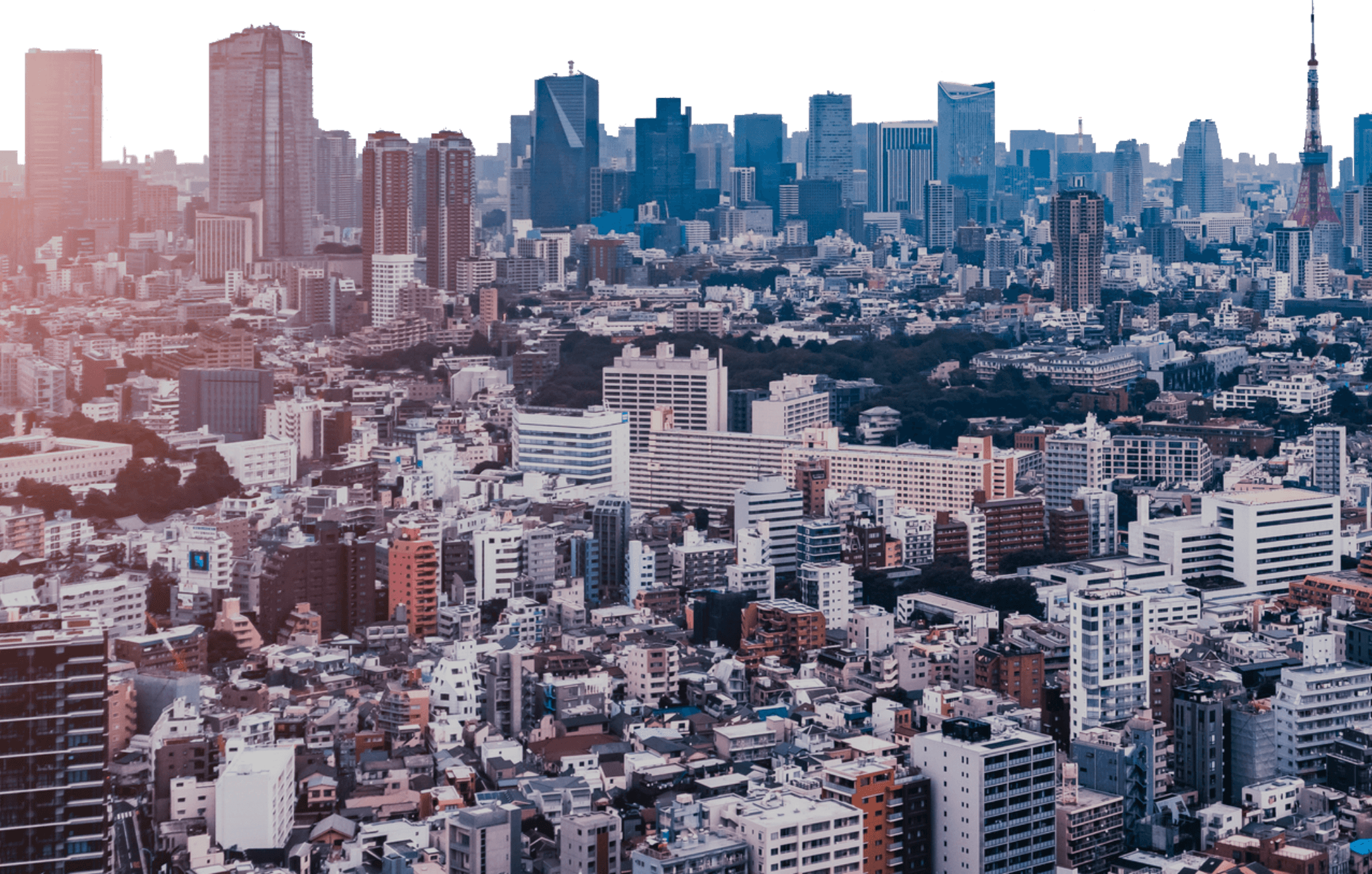 ビルが建ち並ぶ東京の街