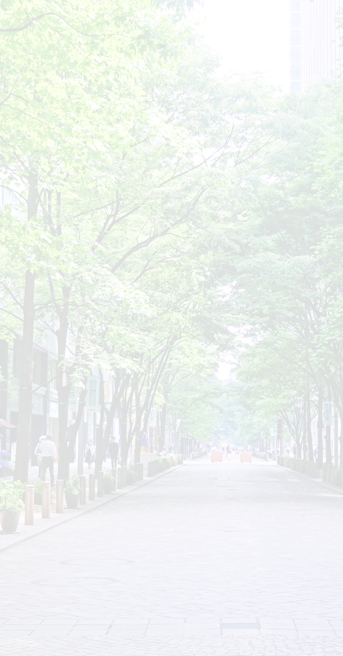 自治体の並木道