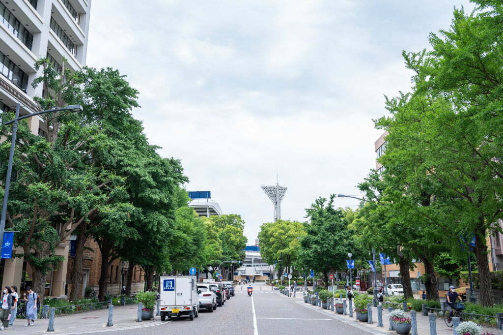 街路樹が続く日本大通りと、その先に見える横浜スタジアムの照明塔