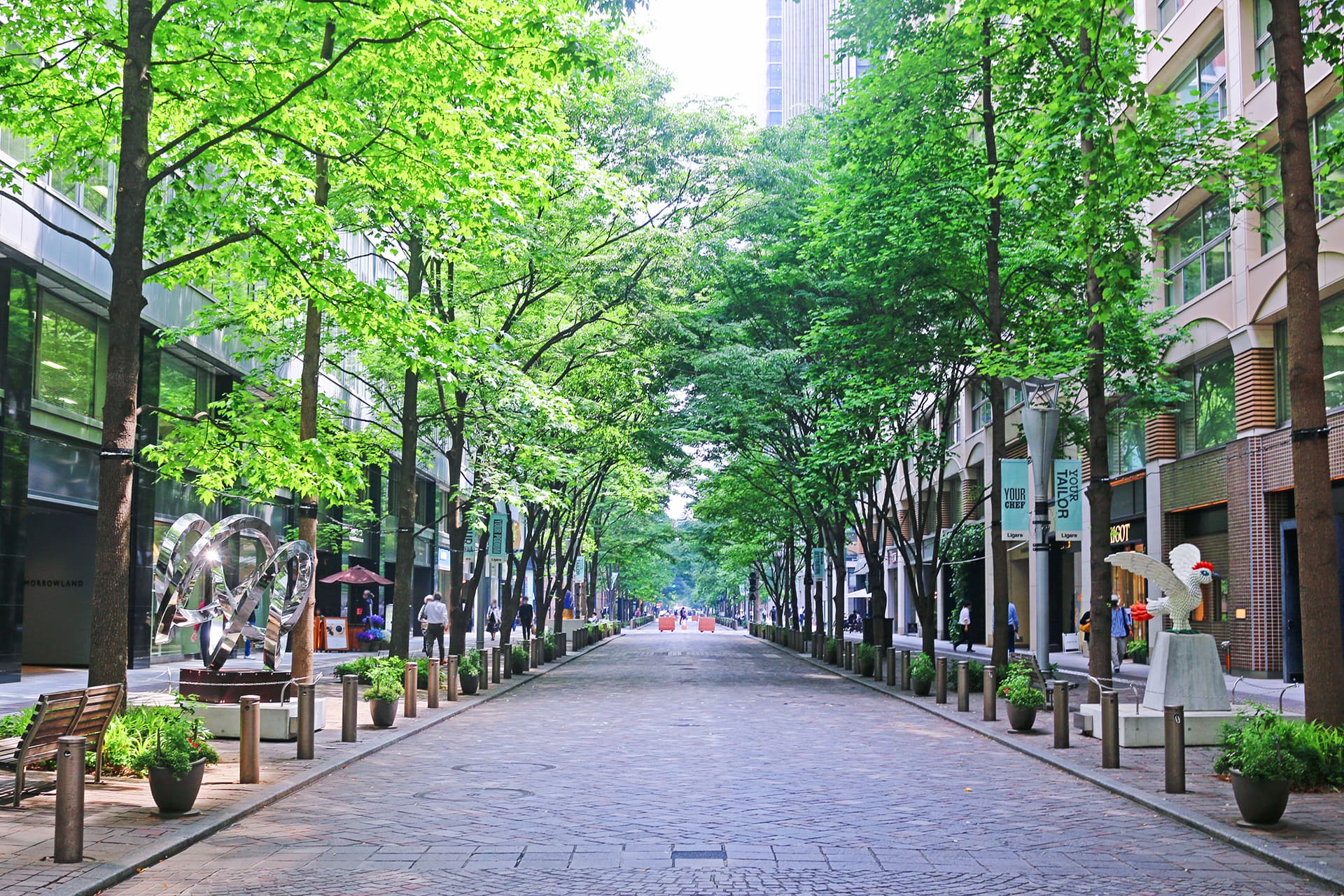 街路樹が植えられた自治体の街並み